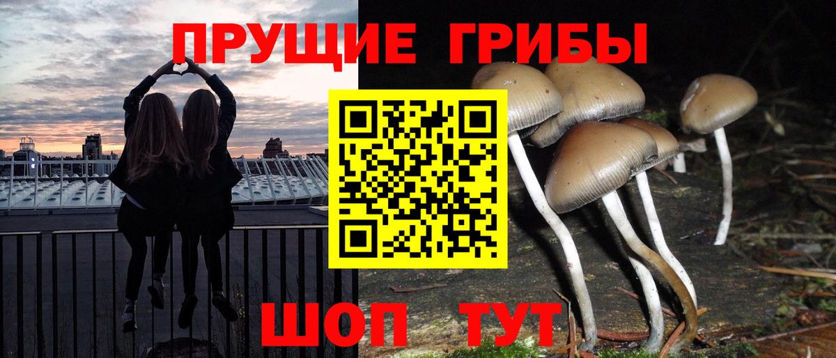 Галлюциногенные грибы мухоморы Изобильный