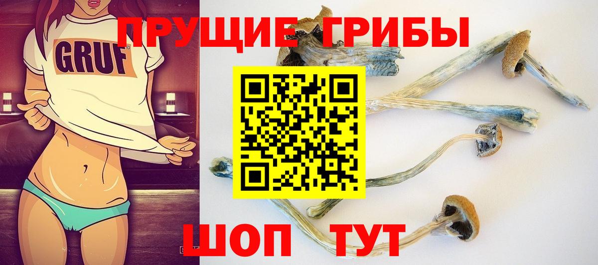 Галлюциногенные грибы GOLDEN TEACHER  Вход с VPN  Изобильный 